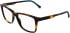 Lacoste L4013-55 glasses in Havana