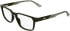 Lacoste L4031 glasses in Dark Khaki