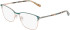 Marchon NYC M-4036 glasses in Green/Rose Gold