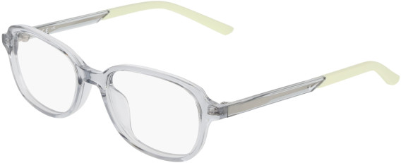 NIKE 5072 glasses in Wolf Grey/Volt Tint
