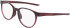 NIKE 7407 glasses in Burgundy Crush Gradient