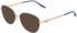 Converse CV1040 sunglasses in Armor Blue/Satin Gold