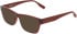 Converse CV5015Y sunglasses in Crystal Rotten Apple