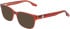 Converse CV5137 sunglasses in Persimmon/Tangerine Laminate