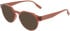 Converse CV5138 sunglasses in Crystal Burn Out