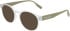 Converse CV5138 sunglasses in Crystal Clear