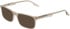 Converse CV9012Y sunglasses in Milky Sand Laminate