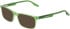 Converse CV9012Y sunglasses in Milky Green Laminate