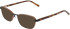 DKNY DK1039 sunglasses in Satin Black
