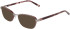DKNY DK1039 sunglasses in Satin Gunmetal