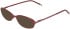 DKNY DK1040 sunglasses in Bordeaux