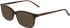 DKNY DK5008 N sunglasses in Dark Tortoise