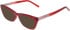 DKNY DK5084 sunglasses in Crystal Rouge