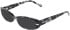 DKNY DK5086 sunglasses in Black Tortoise