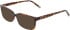 DKNY DK5088 sunglasses in Dark Tortoise