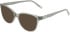 DKNY DK5089 sunglasses in Sage