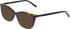 DKNY DK5090-55 sunglasses in Dark Tortoise
