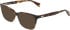 DKNY DK5097-50 sunglasses in Dark Tortoise