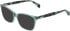 DKNY DK5097-50 sunglasses in Sage