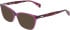 DKNY DK5097-50 sunglasses in Violet