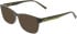 DKNY DK5099 sunglasses in Crystal Olive