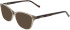 DKNY DK5100 sunglasses in Crystal Sand
