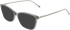 DKNY DK7014 sunglasses in Sage Grey