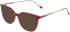 DKNY DK7017 sunglasses in Red