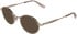 Karl Lagerfeld KL369 sunglasses in Rose Gold/Nude