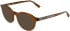 Karl Lagerfeld KL6235 sunglasses in Caramel