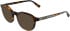 Karl Lagerfeld KL6235 sunglasses in Tortoise