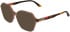 Lacoste L2988 sunglasses in Transparent Light Brown