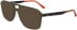 Lacoste L2991-60 sunglasses in Transparent Khaki Brown