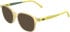 Lacoste L3667 sunglasses in Transparent Lemon Lumi