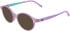 Lacoste L3668 sunglasses in Transparent Violet Lumi
