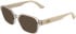 Lacoste L4025 sunglasses in Transparent Light Beige