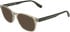 Lacoste L4029 sunglasses in Transparent Beige