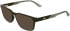 Lacoste L4031 sunglasses in Dark Khaki