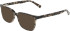 Marchon NYC M-3035 sunglasses in Grey Tortoise