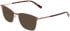 Marchon NYC M-4036 sunglasses in Brown/Gold