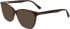 Marchon NYC M-5504 N sunglasses in Tortoise