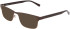 NIKE 1002-58 sunglasses in Matte Baroque Brown/Mocha