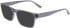 Converse CV5015 N sunglasses in Crystal Light Carbon