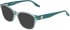 Converse CV5064Y sunglasses in Sage Crystal Laminate
