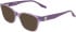 Converse CV5064Y sunglasses in Purple Crystal Laminate
