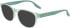 Converse CV5099Y N sunglasses in Crystal Sticky Aloe