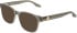 Converse CV5136 sunglasses in Sand Laminate