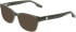 Converse CV5137 sunglasses in Green/Smoke Laminate
