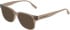 Converse CV5140 sunglasses in Crystal Vintage Cargo