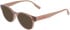 Converse CV5141 sunglasses in Crystal Dried Earth